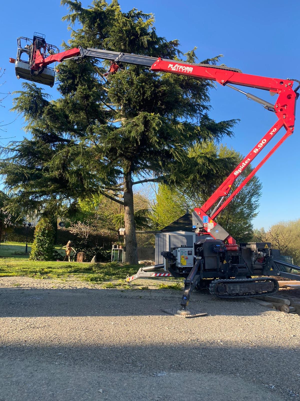 élagage avec une nacelle téléscopique