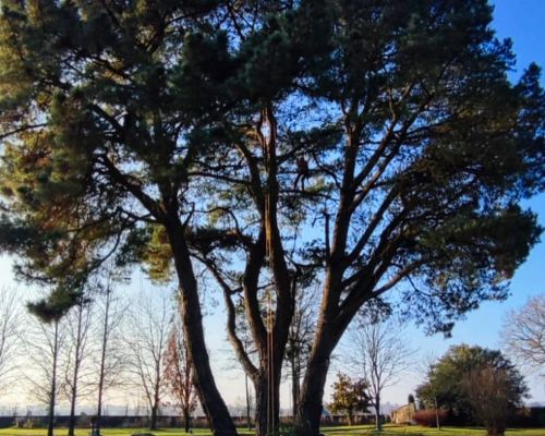 Dégager des passages fréquentés ou des zones utilitaires