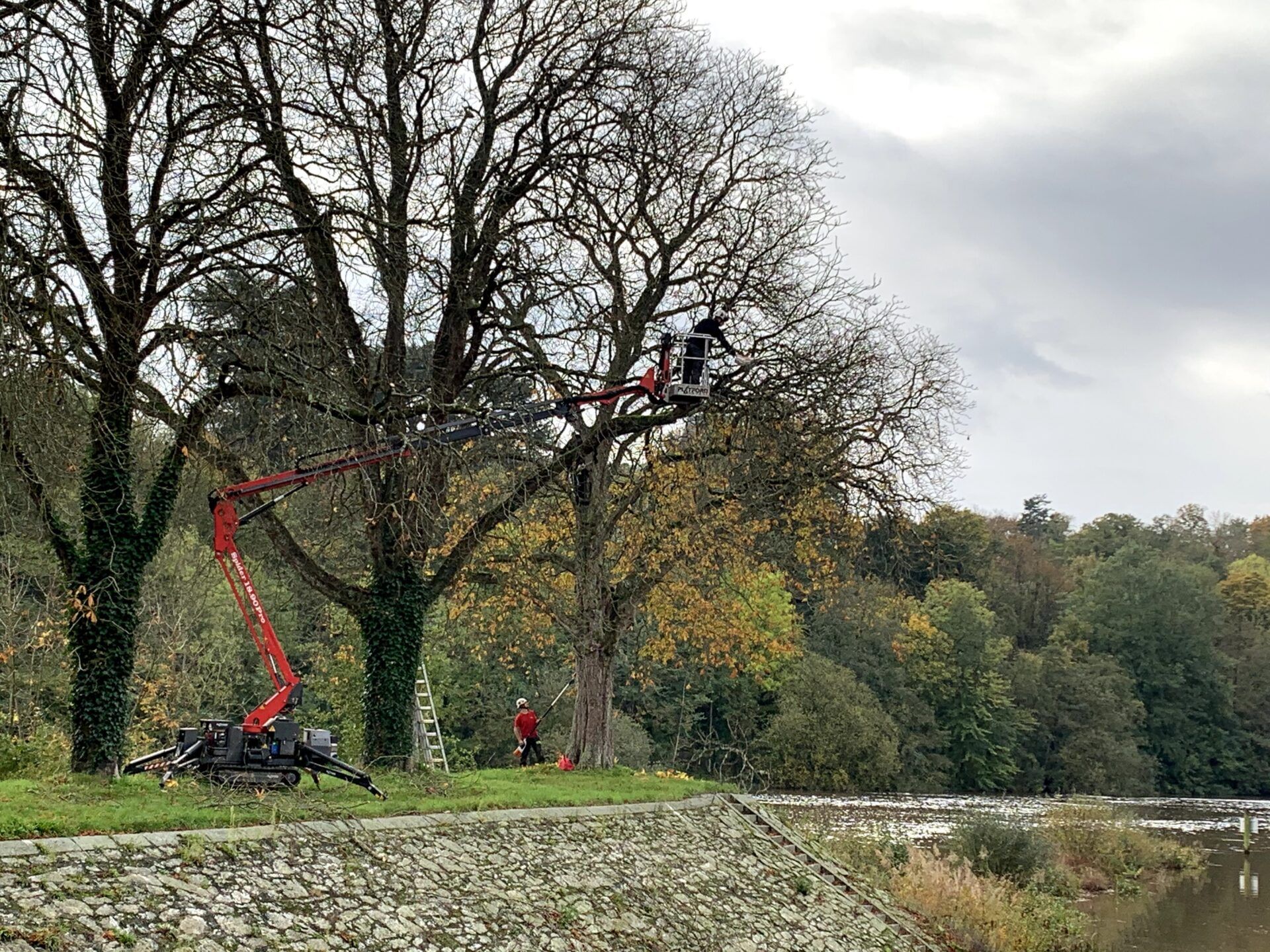 élagage avec une nacelle téléscopique