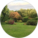 guillaume deschoemaker profile picture